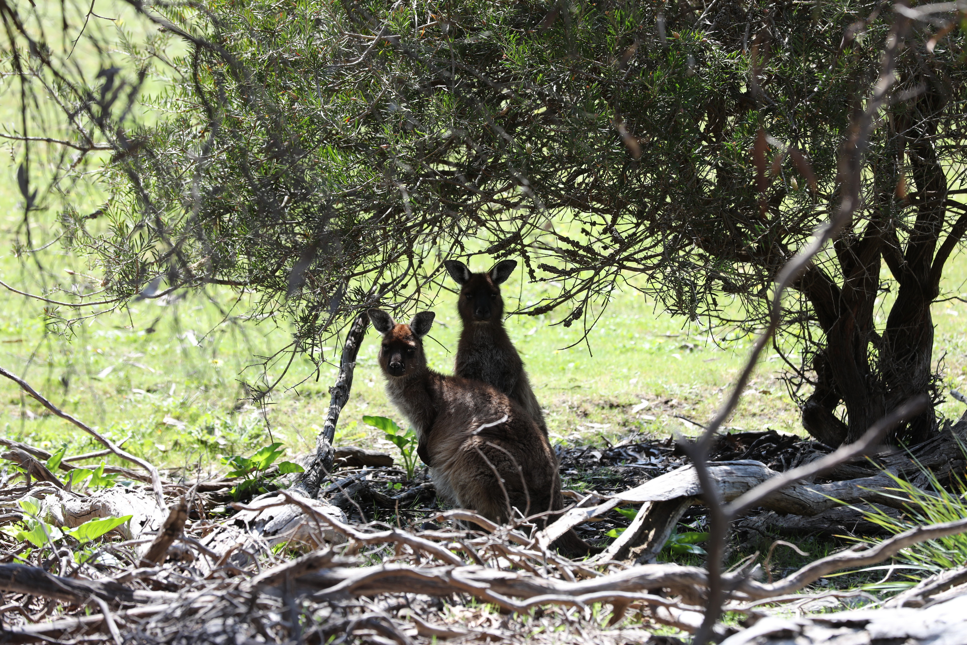 2019 10 01 11 13 08 Canon EOS 5D Mark IV 0010